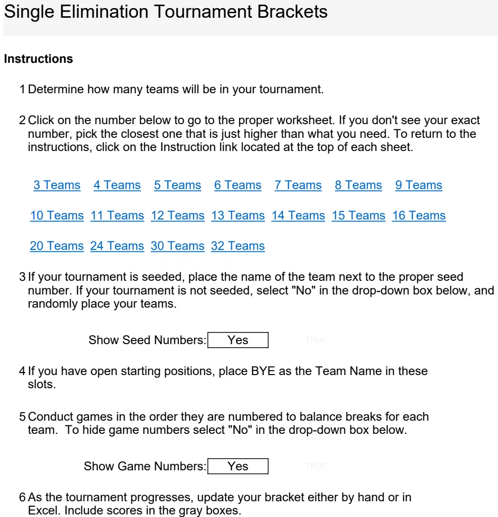 Single Elimination Bracket Tournament Template preview