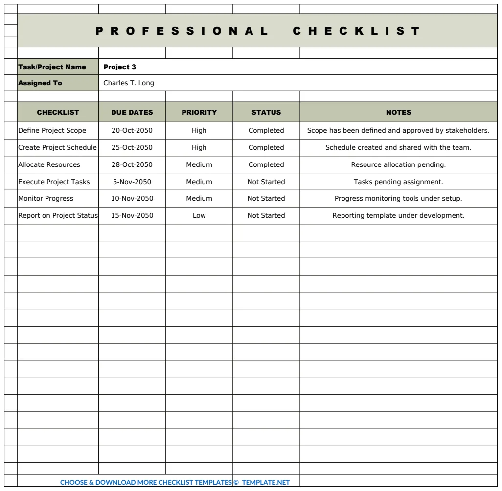 Professional Checklist Template preview