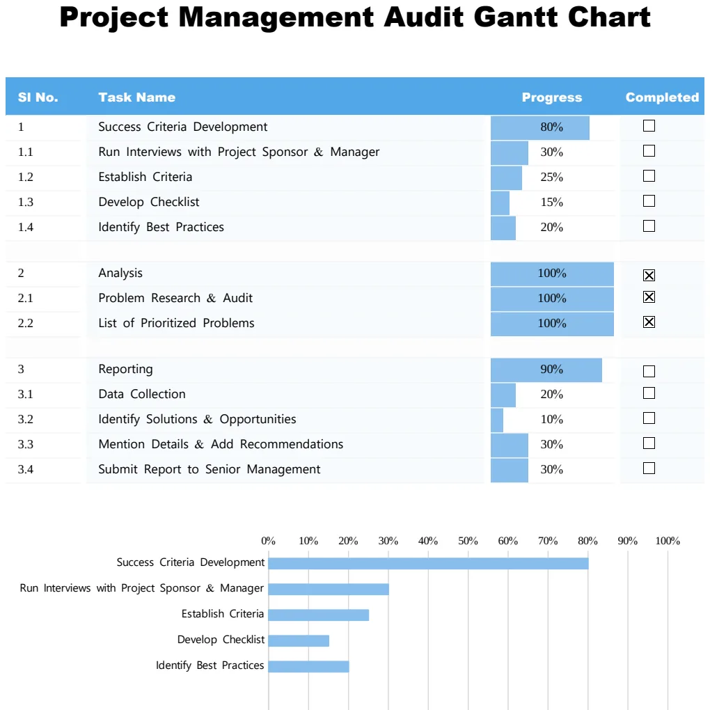 Project Management Audit Gantt Chart preview