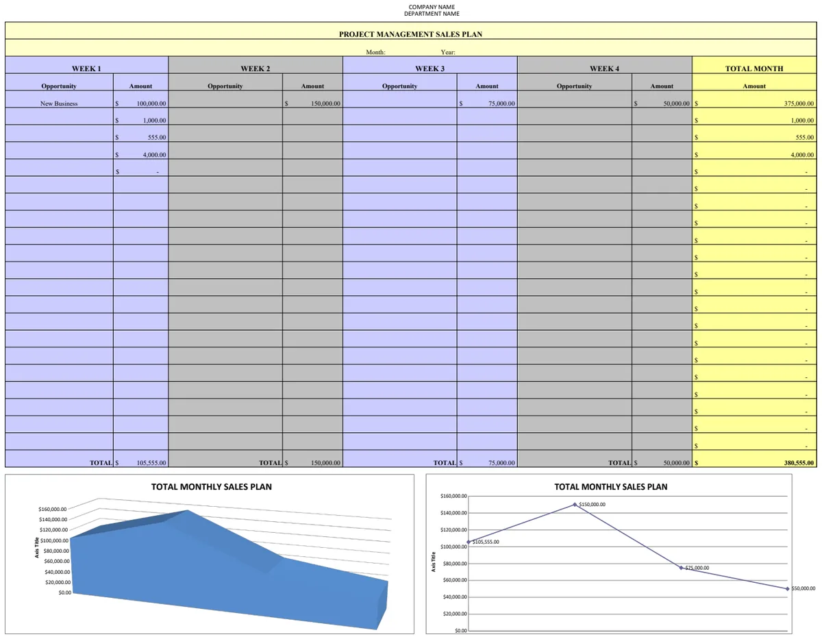 Project Management Sales Plan preview