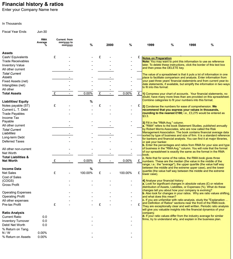 Financial History and Ratios preview