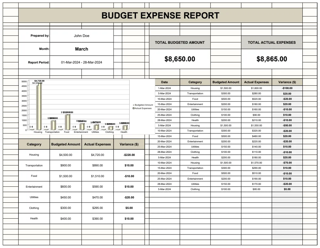 Budget Expense Report Template preview