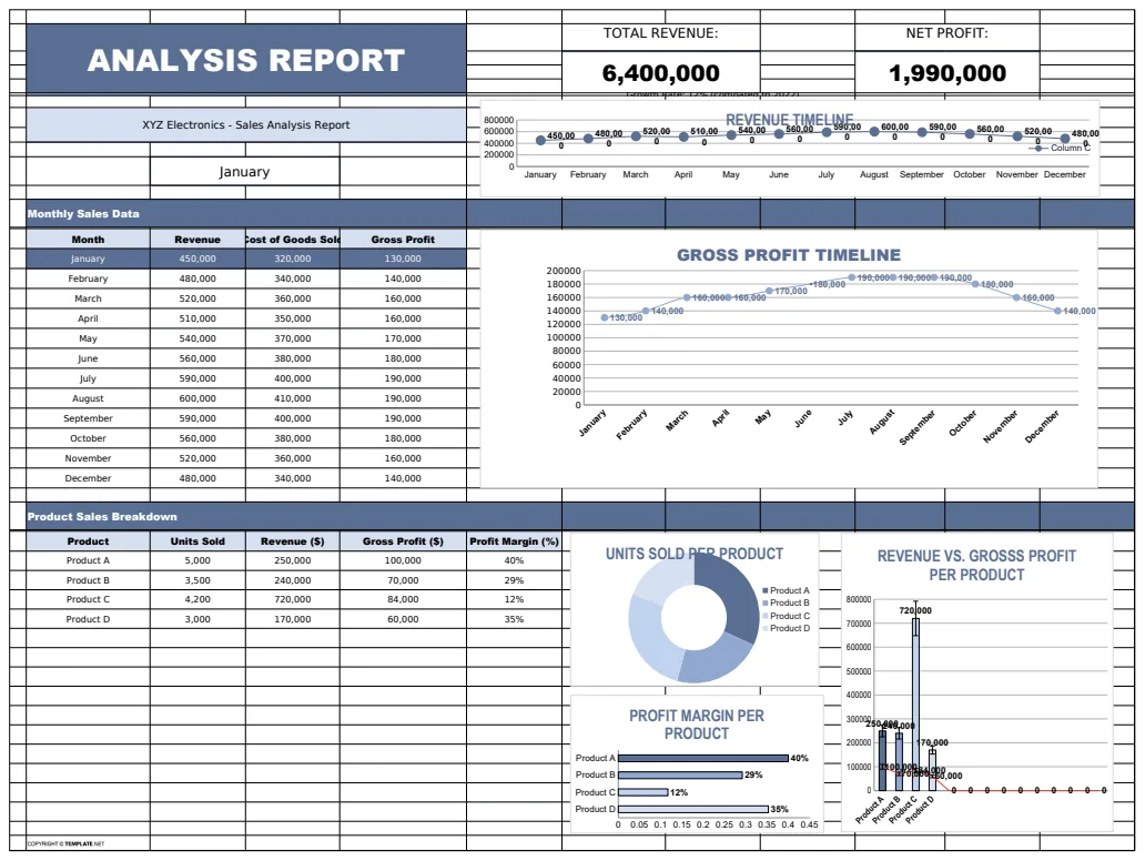 Analysis Report Template preview