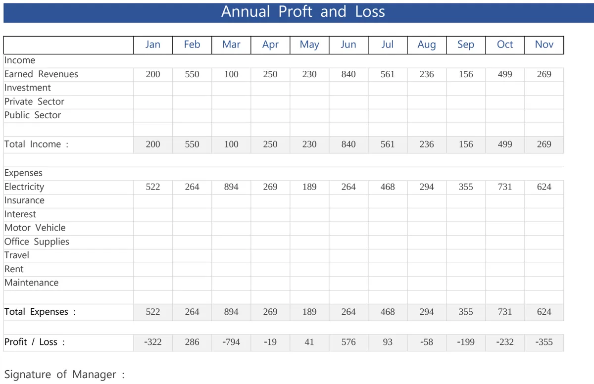 Annual Profit and Loss preview
