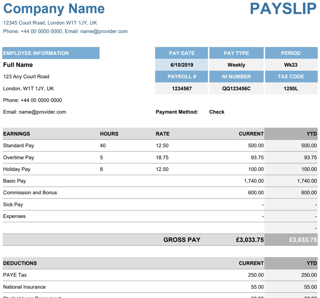Payslip Template preview