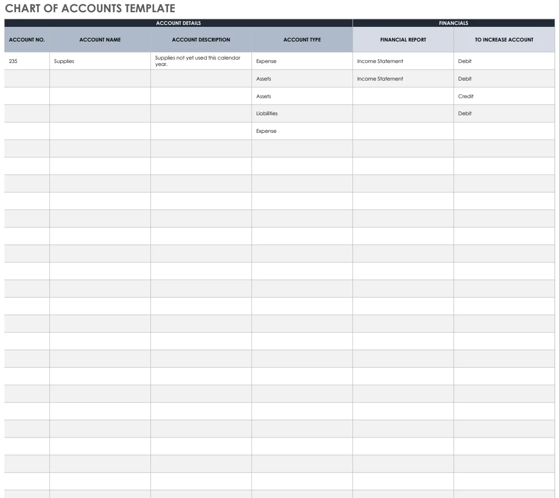 Chart of Accounts preview