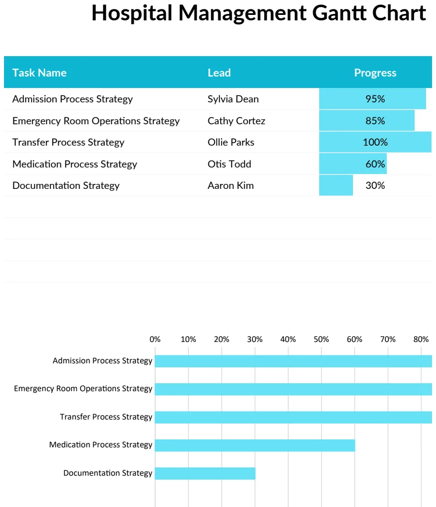 Hospital Management Gantt Chart preview