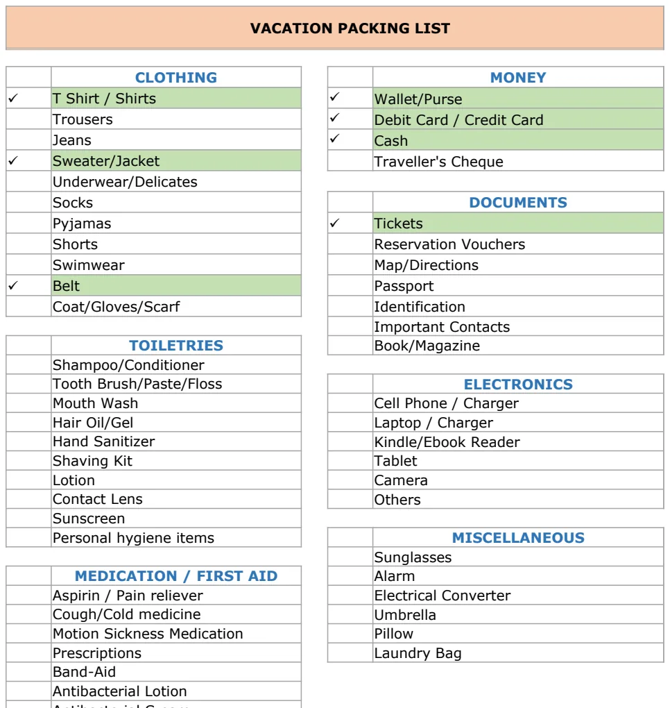 Vacation Packing List preview