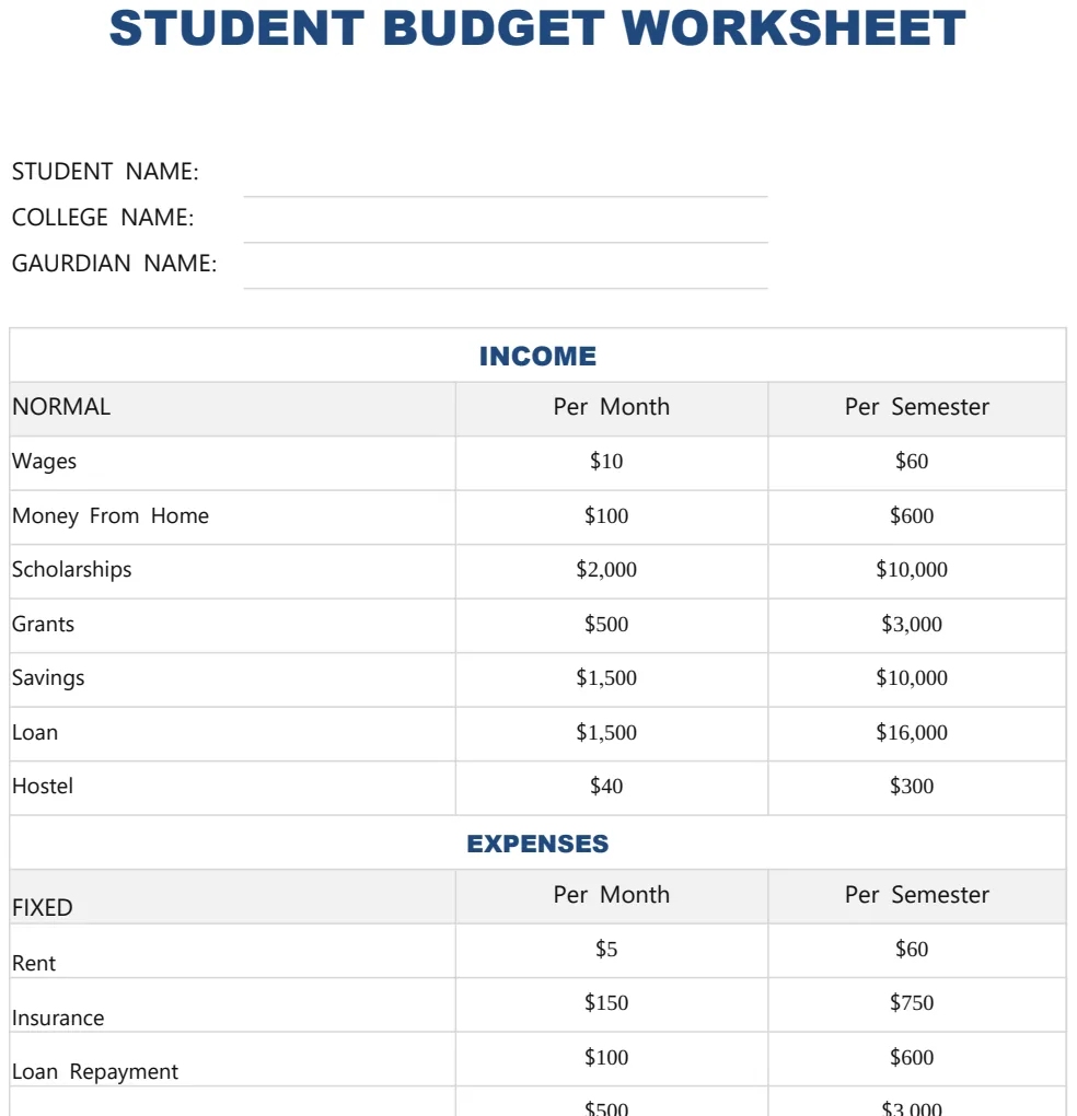Student Budget Worksheet preview