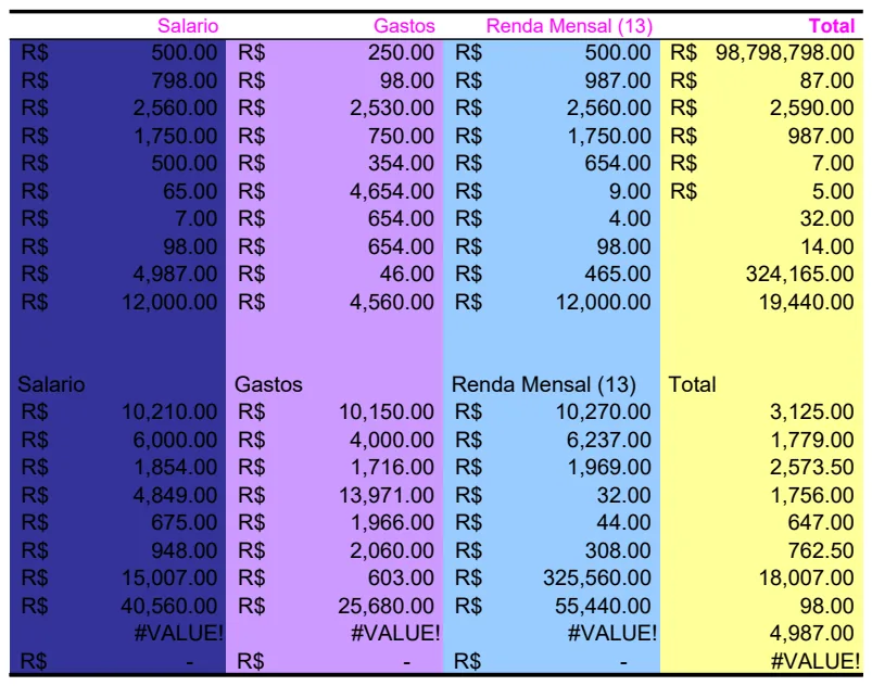 Monthly Salary and Expense Tracker preview