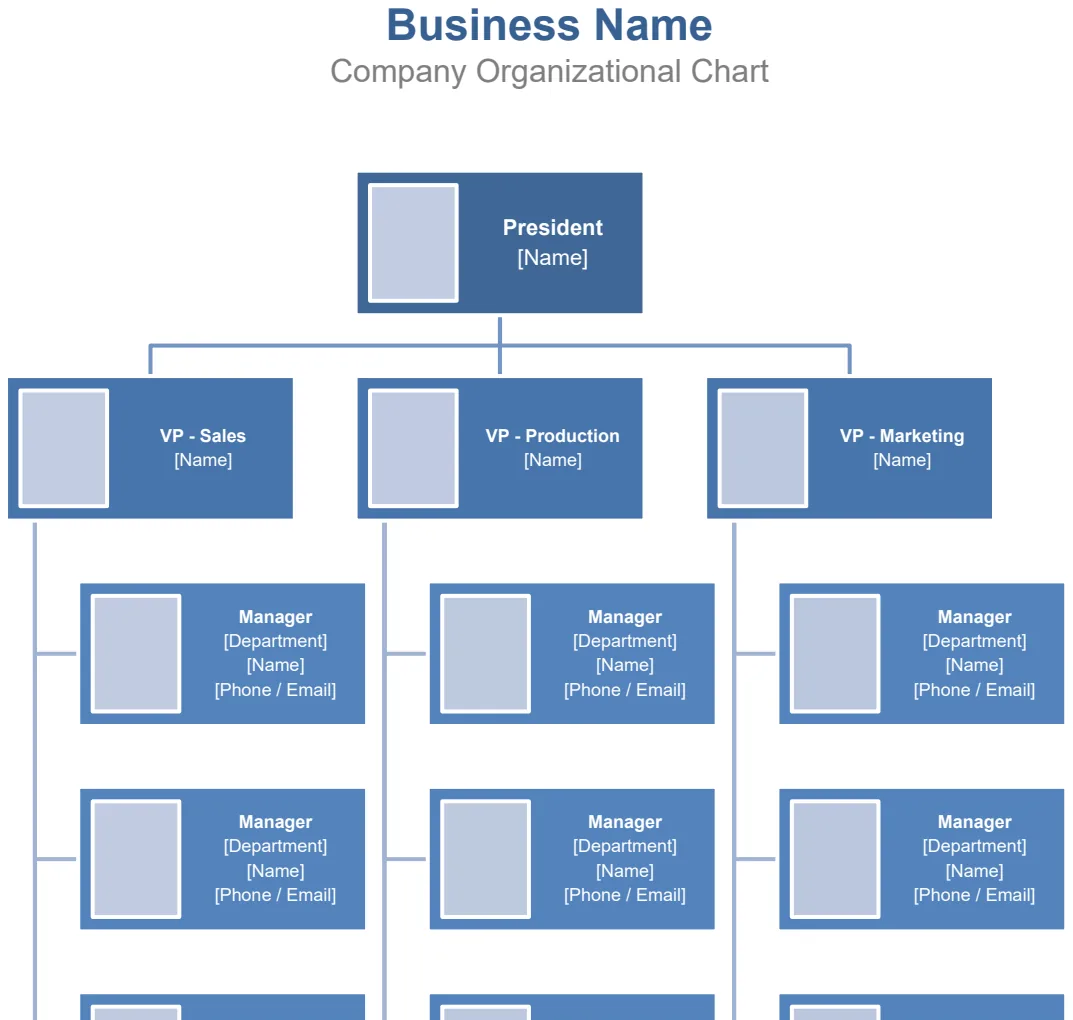 Company Organization Chart preview