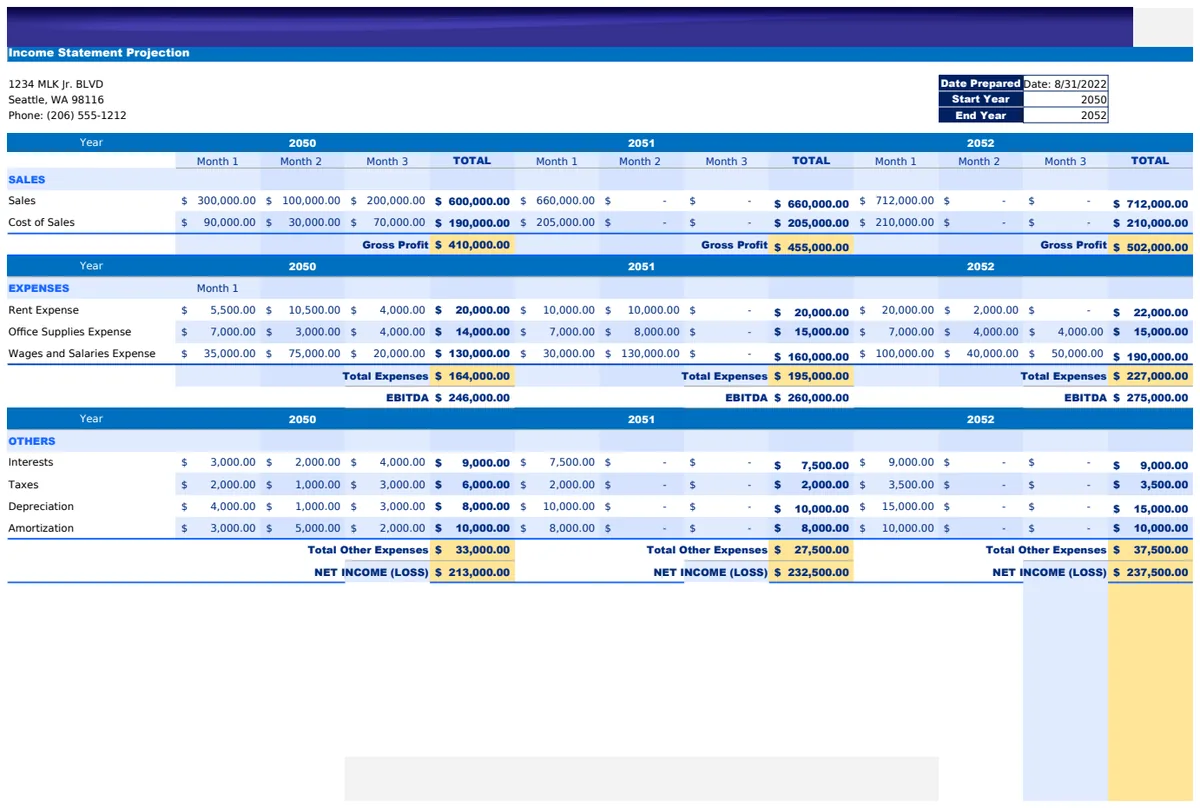 Business Financial Projection Template preview