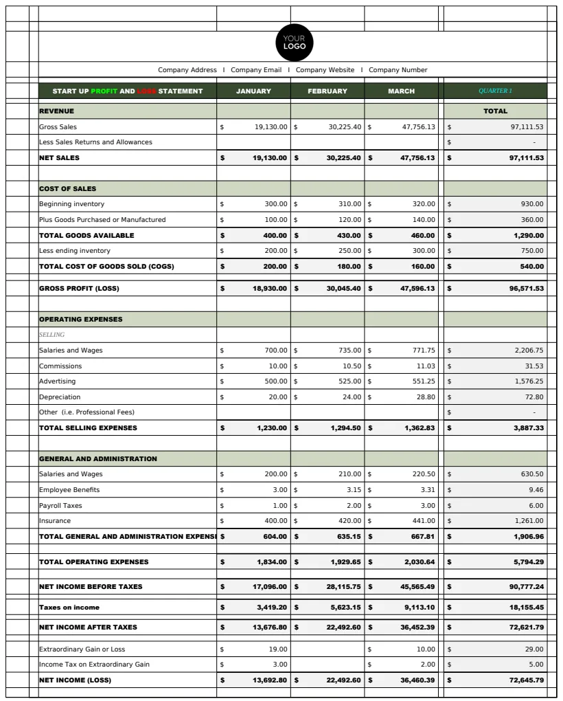 Startup Profit and Loss Statement Template preview