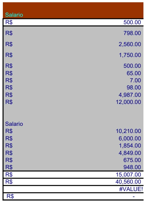 Monthly Salary & Expense Tracker preview