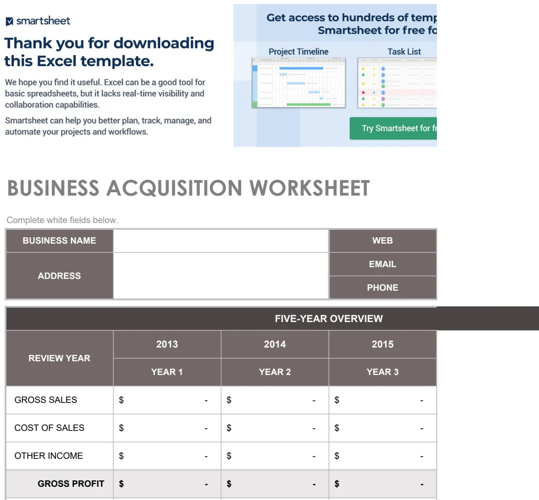 IC Business Acquisition Worksheet Template preview