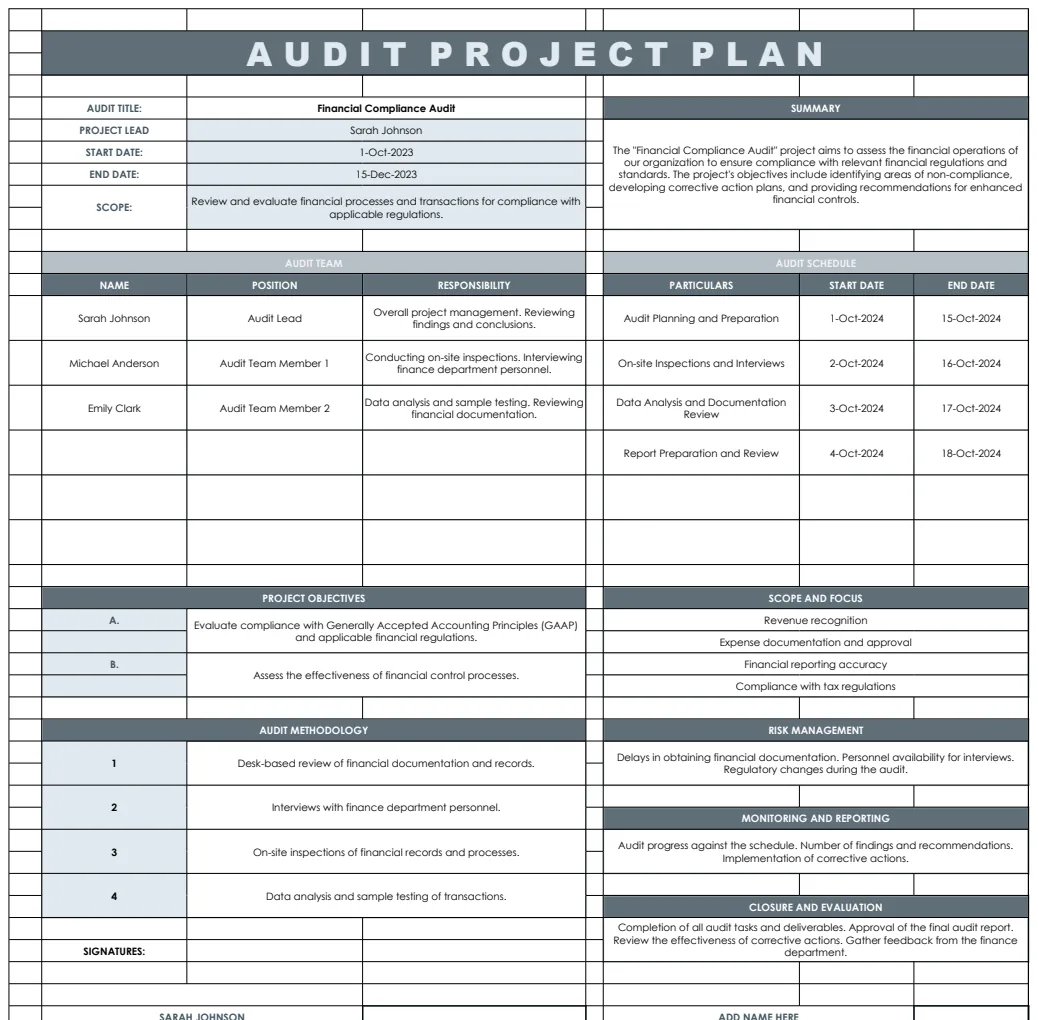 Audit Project Plan Template preview