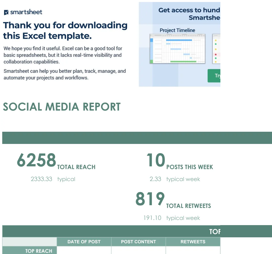 Social Media Report Template preview
