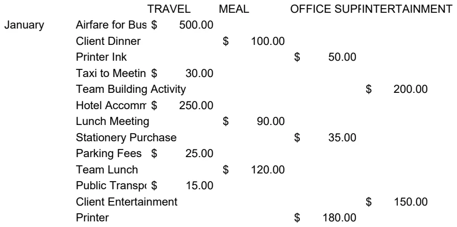 Expense Report Management Template preview