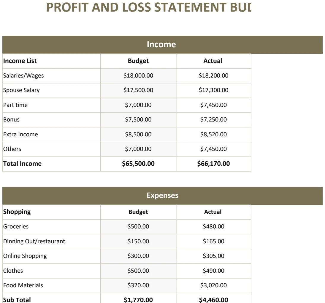 Profit and Loss Statement Budget preview