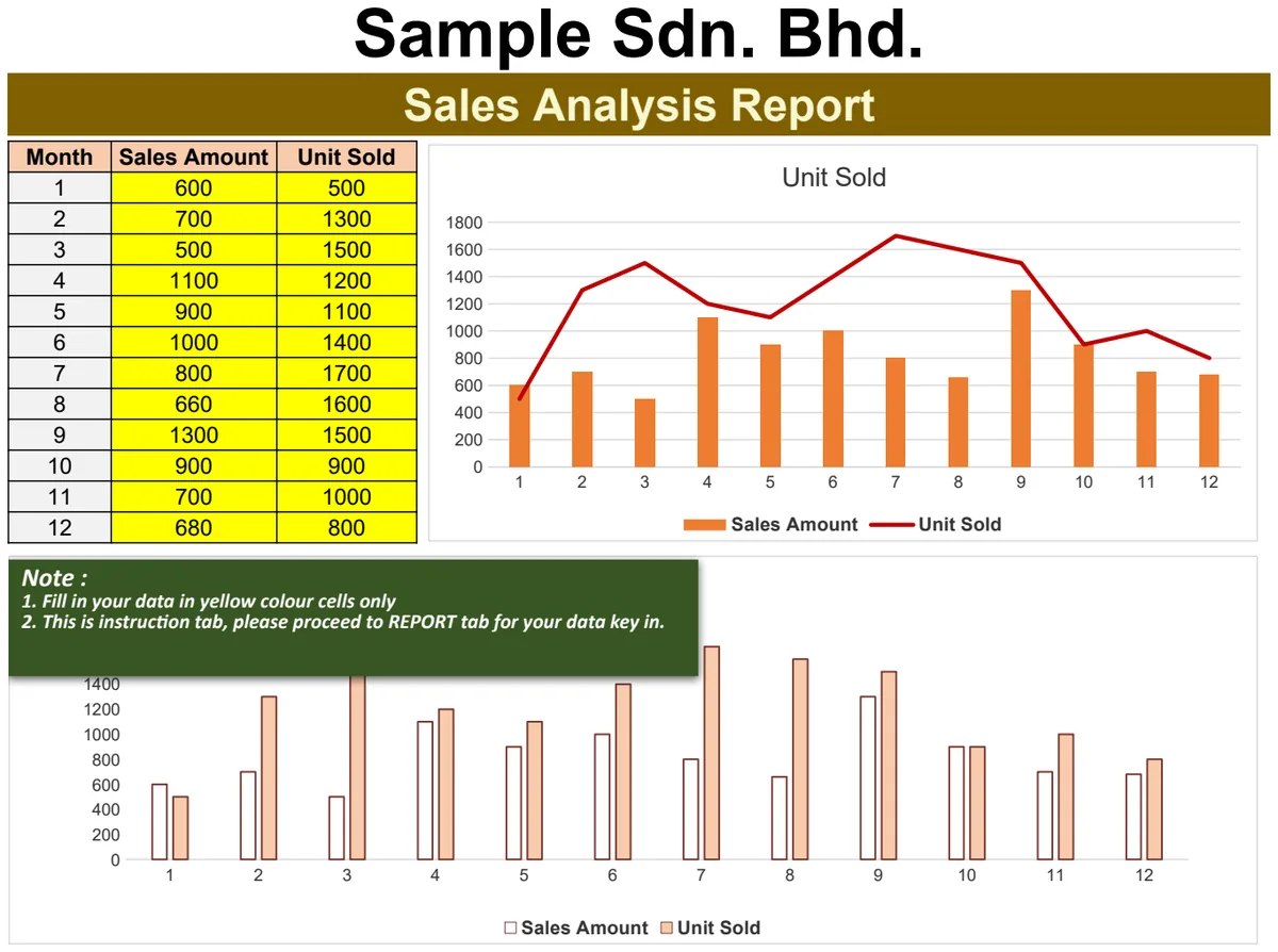Sales Analysis Report preview