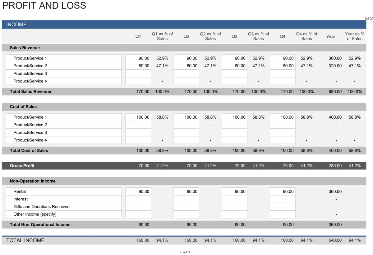 Profit and Loss Statement preview