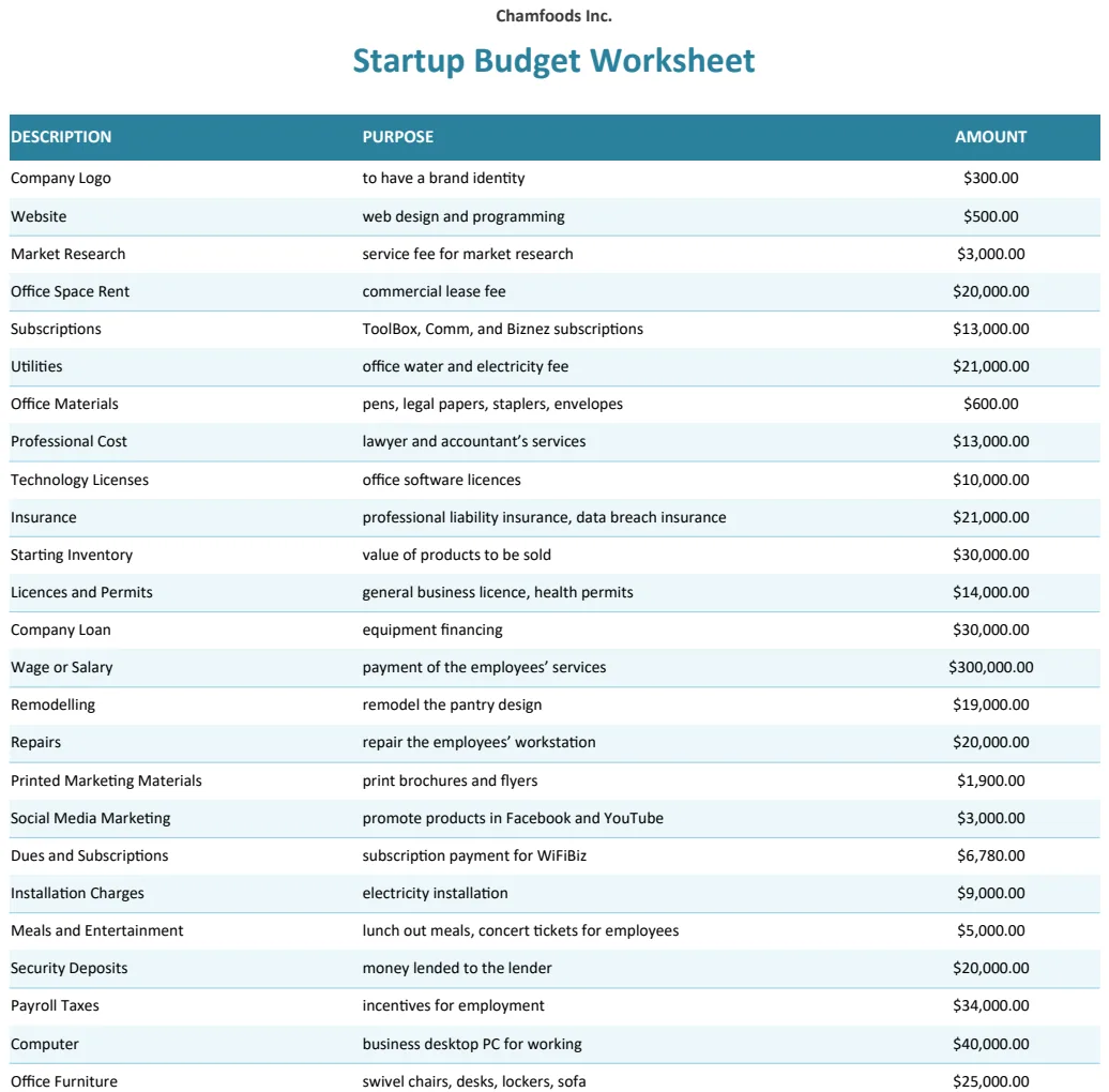 Startup Budget Worksheet preview