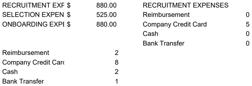 Hiring Costs Tracker Template template preview