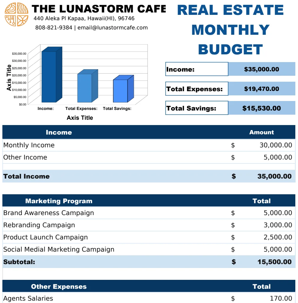 Real Estate Monthly Budget Template preview