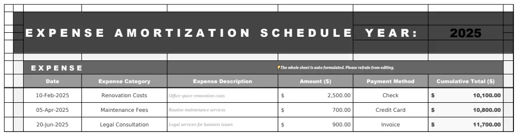 Expense Amortization Schedule Template preview