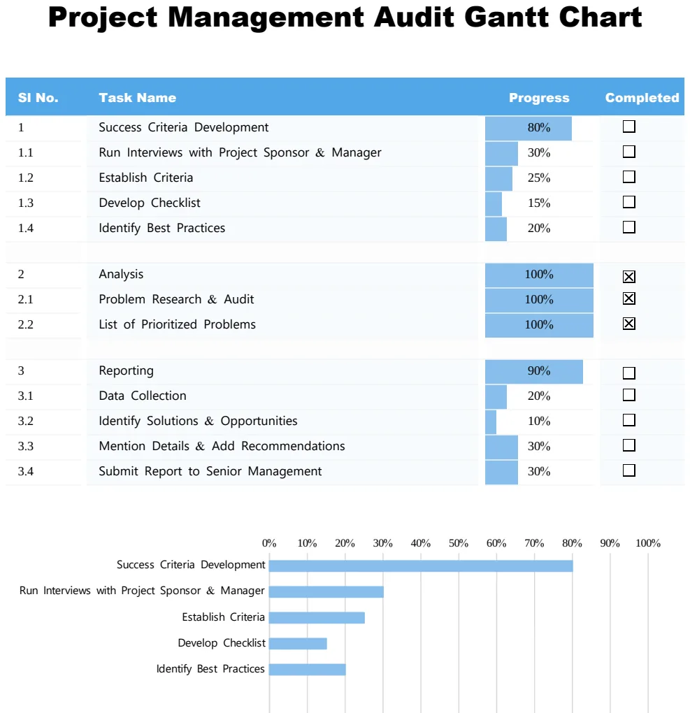 Project Management Audit Gantt Chart preview
