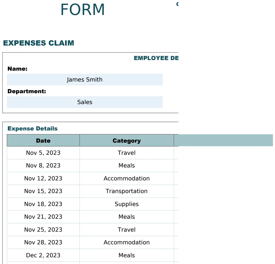 Expenses Claim Form Template preview