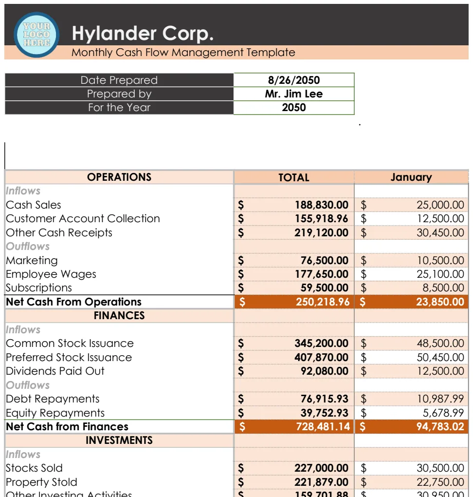 Monthly Cash Flow Management Template preview
