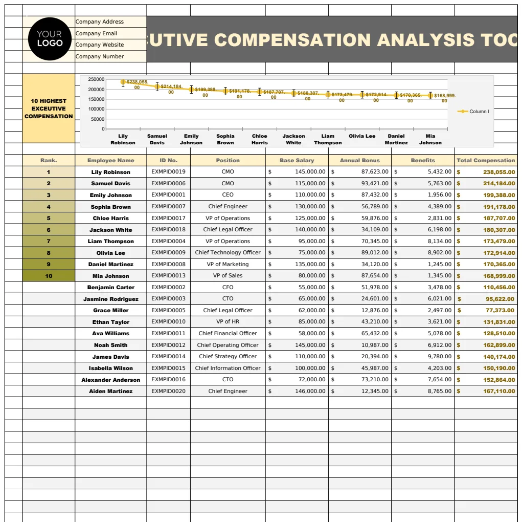 Executive Compensation Analysis Tool HR Template preview