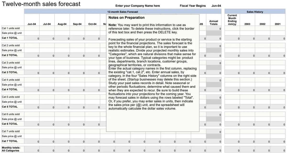 12-Month Sales Forecast preview