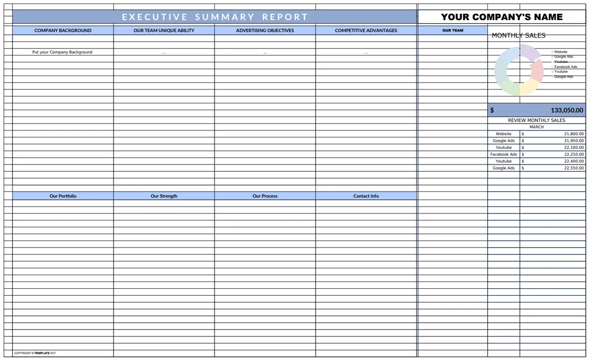 Executive Summary Report Template preview