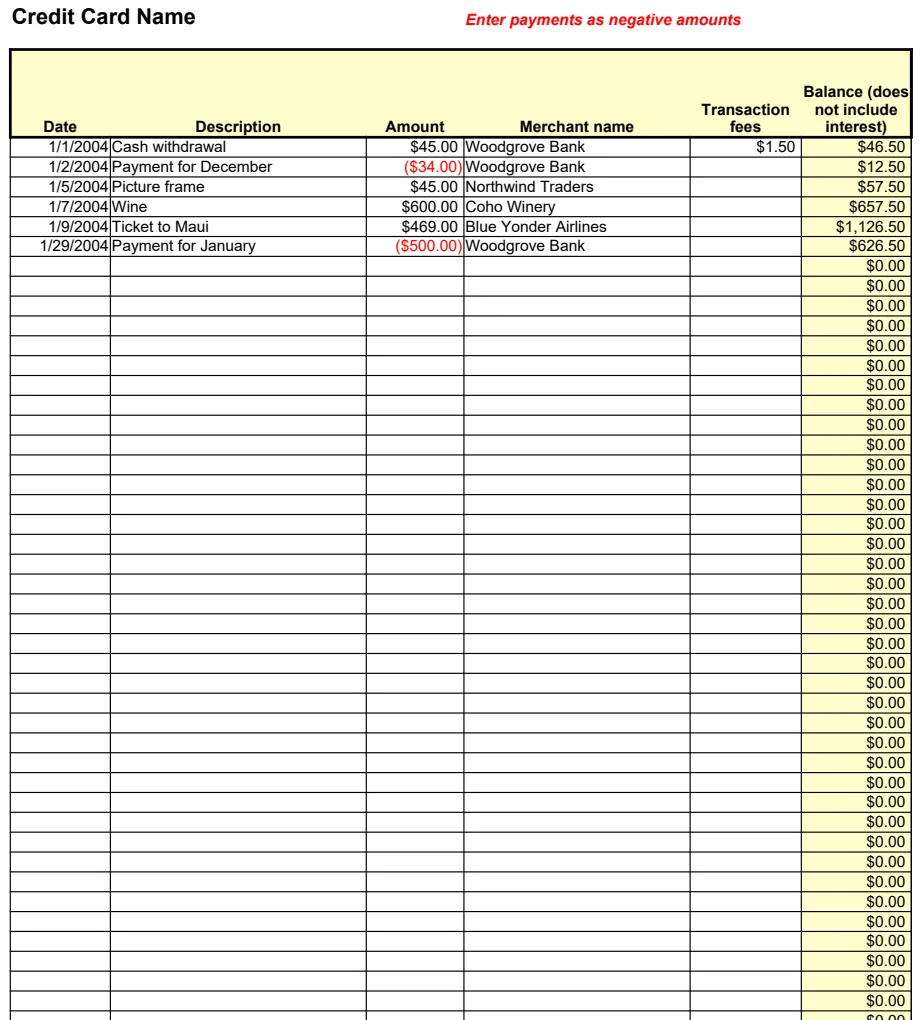 Credit Card Usage Log preview