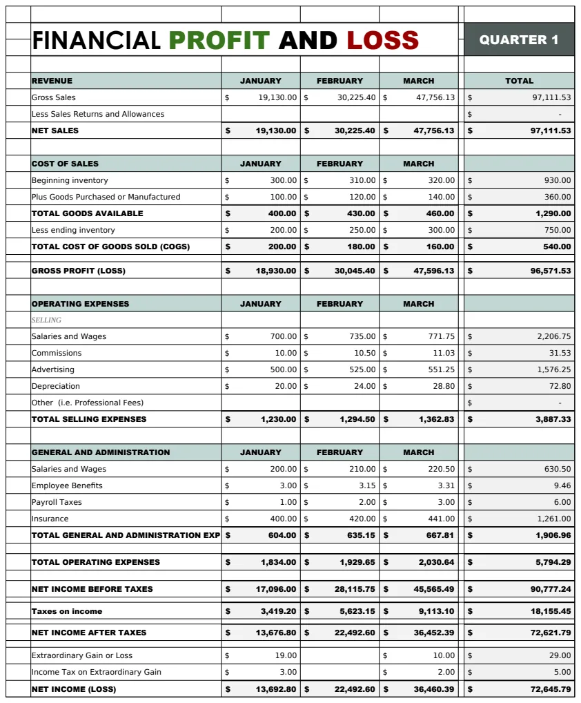 Financial Profit and Loss Template preview