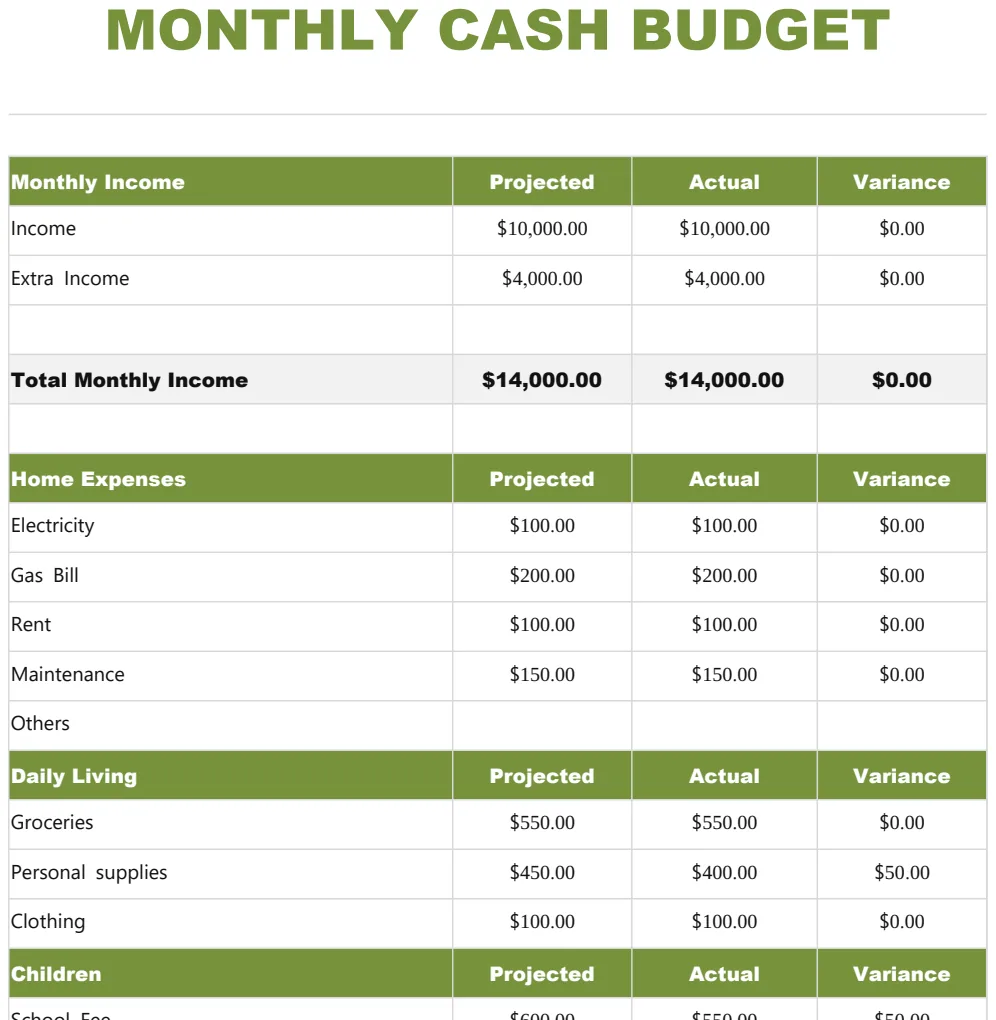 Monthly Cash Budget Template preview