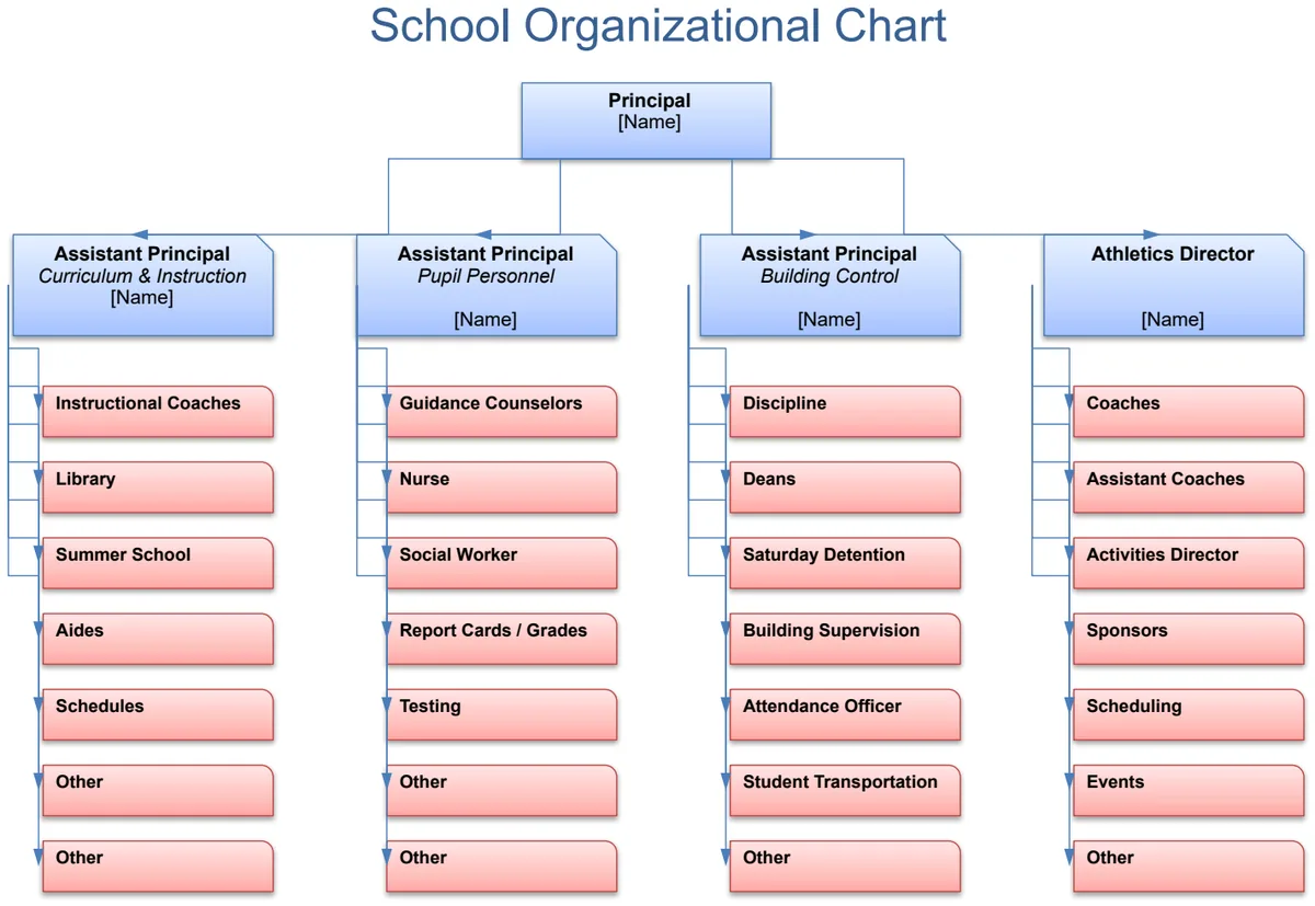 School Organizational Chart preview