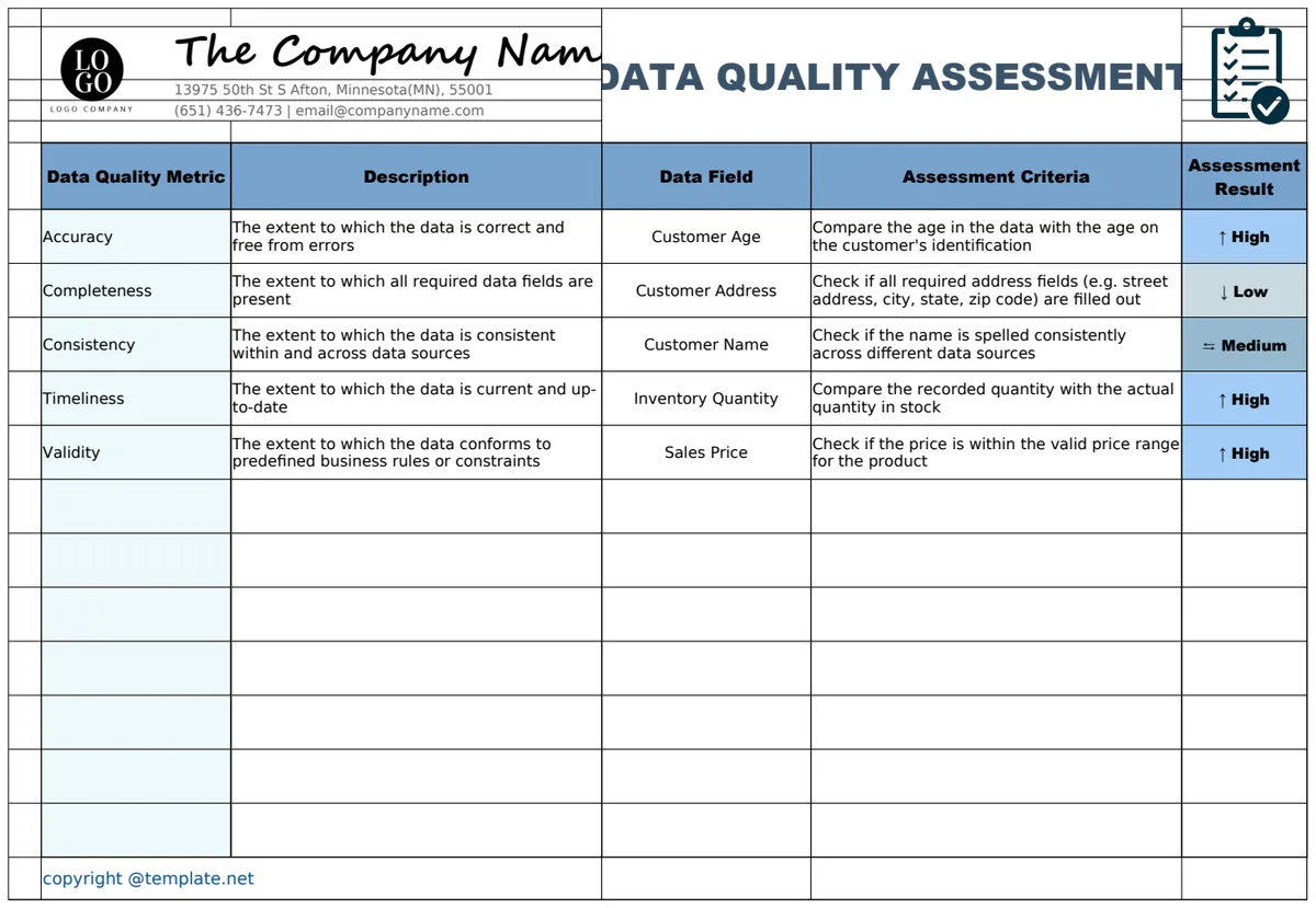 Data Quality Assessment Template preview