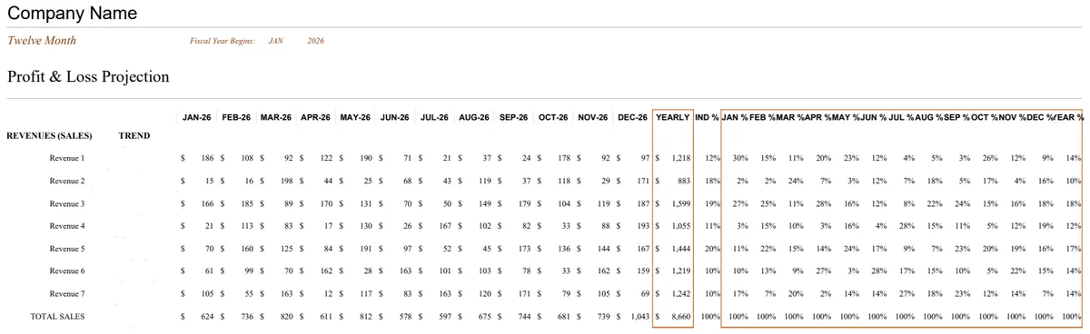 Profit & Loss Statement Projection preview