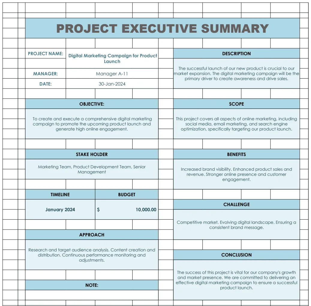 Project Executive Summary Template preview