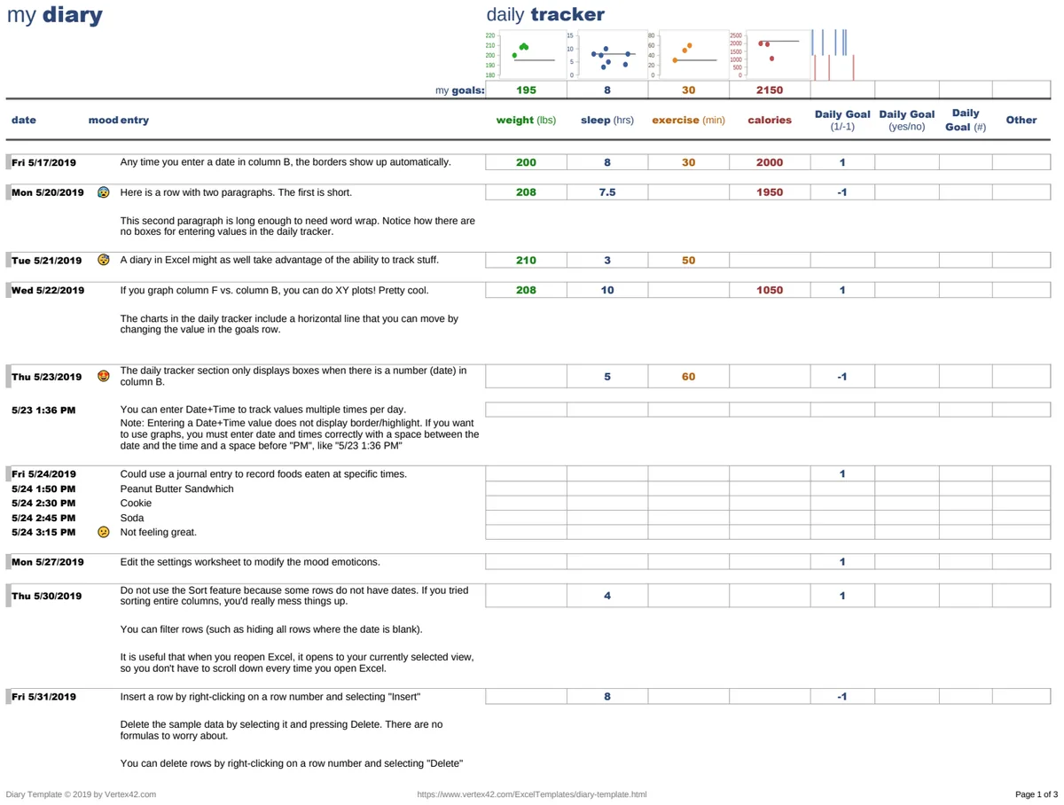 Self Diary Template preview