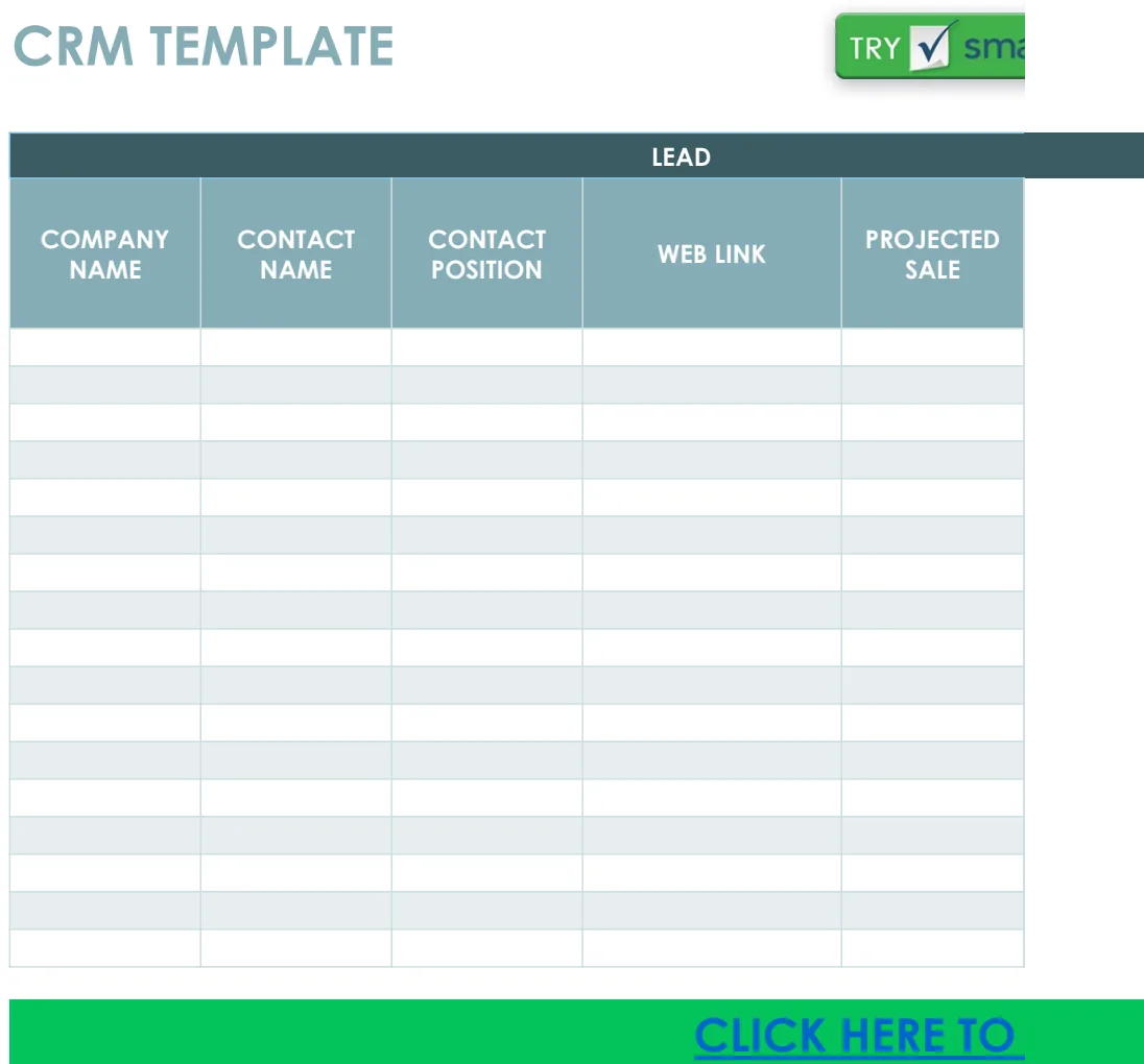 IC CRM Template preview