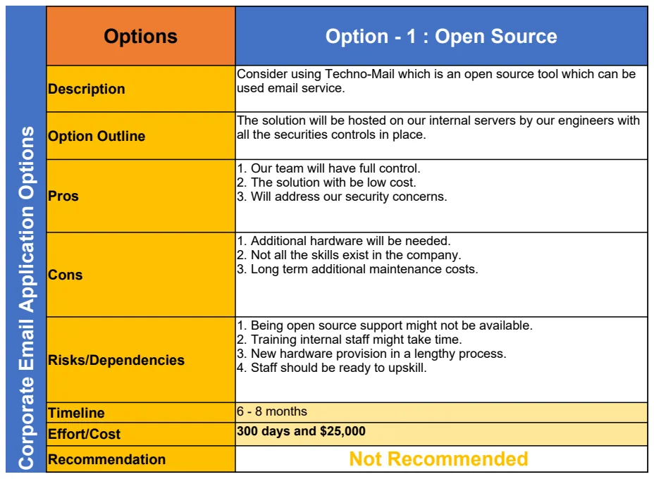 Project Options Paper Excel Template preview