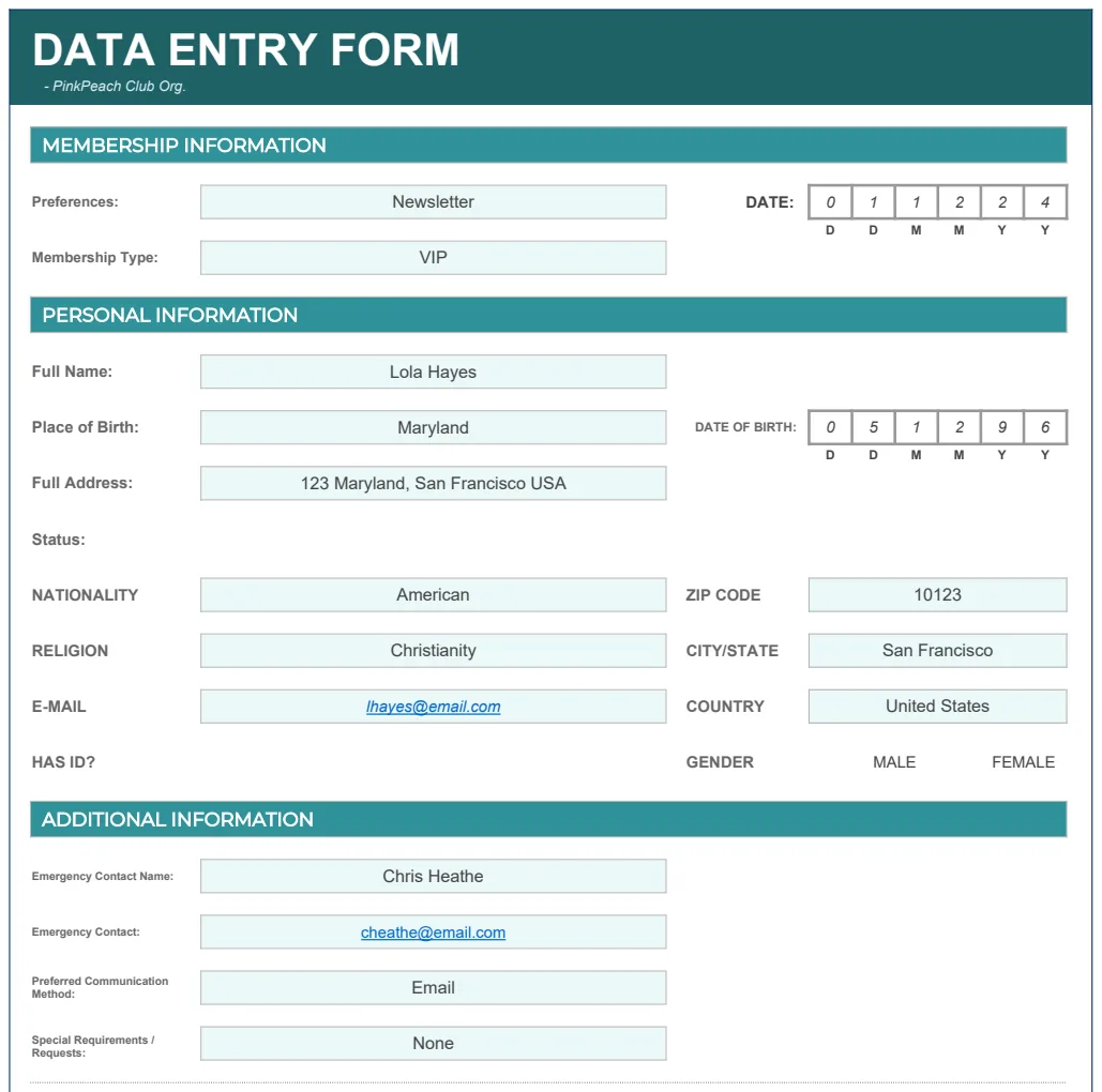 Automated Data Entry Form Excel Template preview
