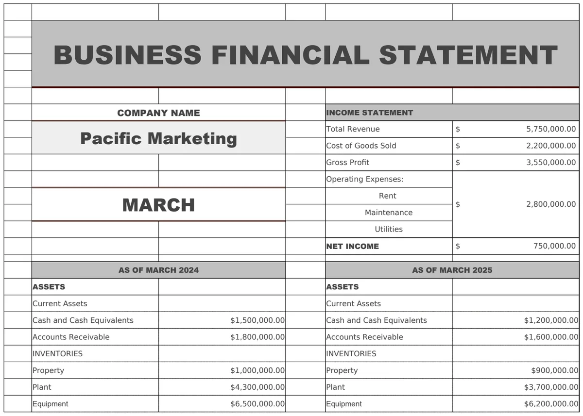 Business Financial Statement Template preview