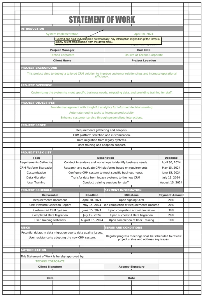 Manager Statement of Work Template preview