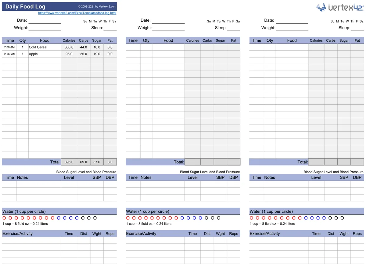 Daily Food Log preview