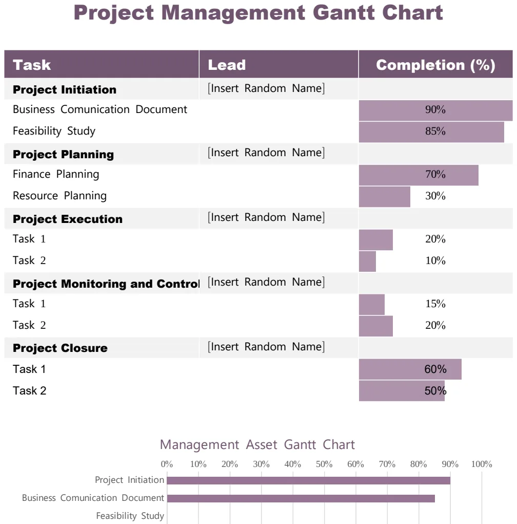 Project Management Gantt Chart preview
